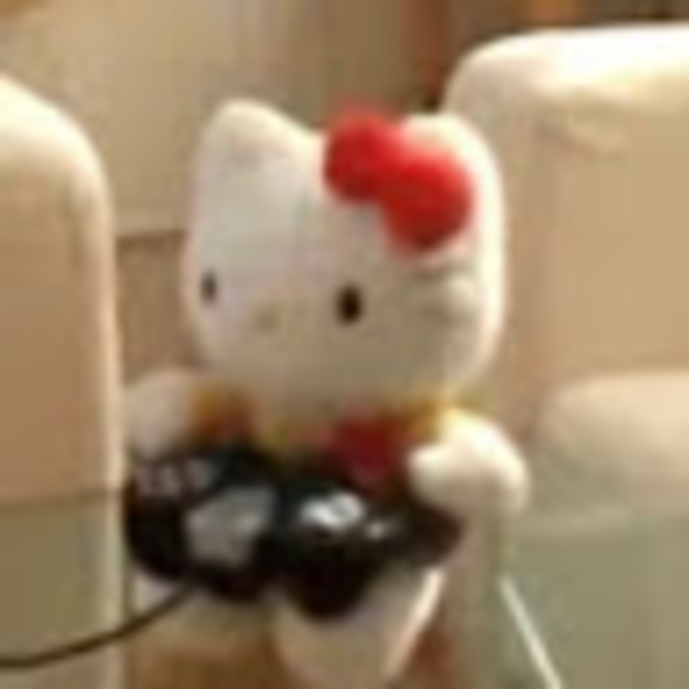 Meet your Posher, Destiny